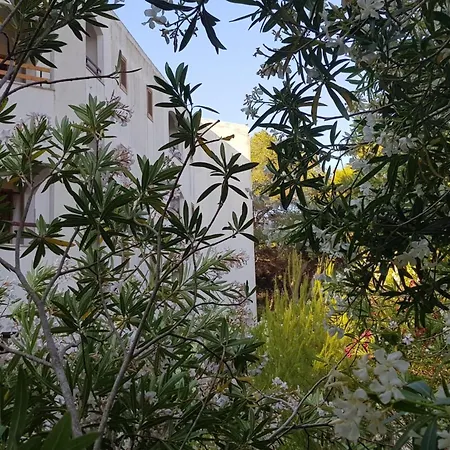 La Casa Di Bebe Apartment